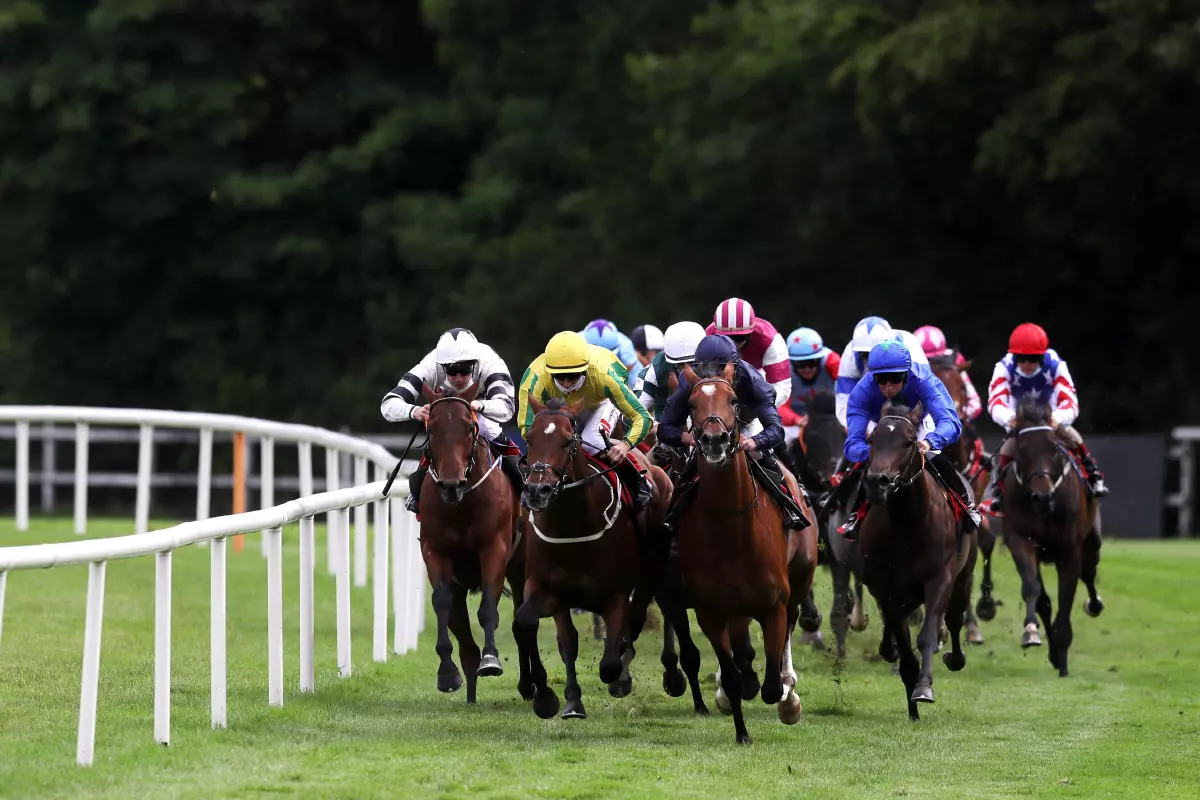 Gowran Park Flat Racecourss