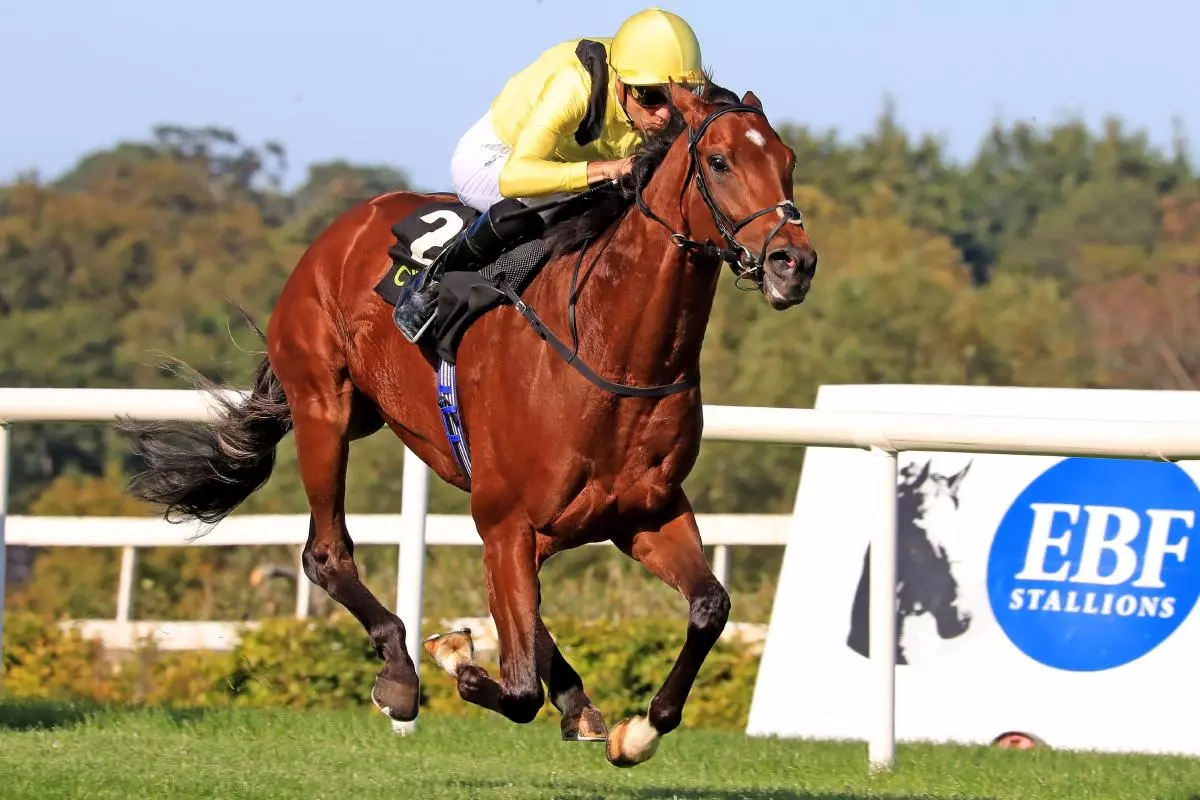 Jadoomi ridden by Christophe Soumillon