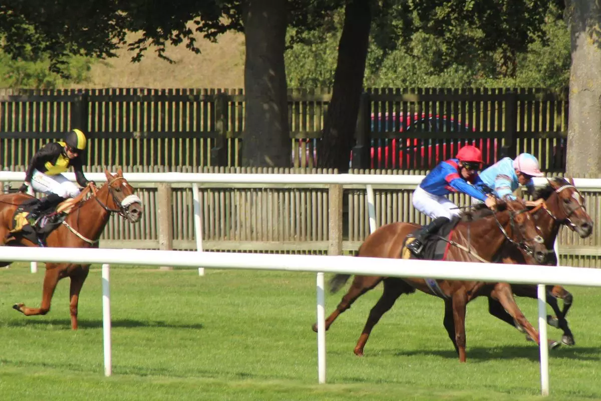 July Newmarket course 2022