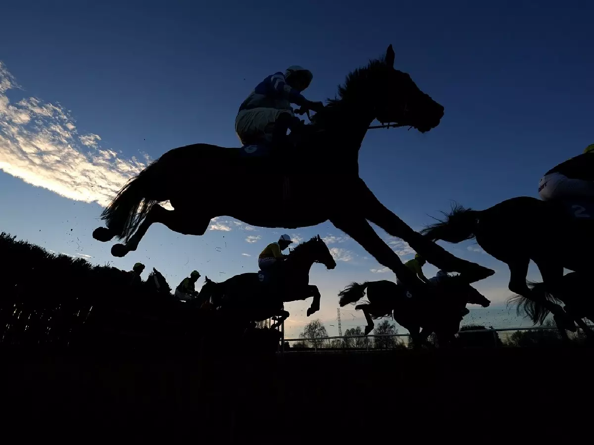 Jumpers in action at Leicester racecourse