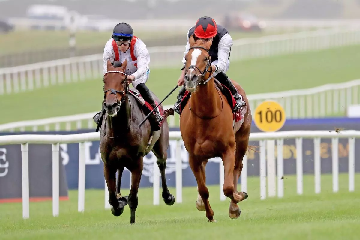 Kyprios ridden by Ryan Moore