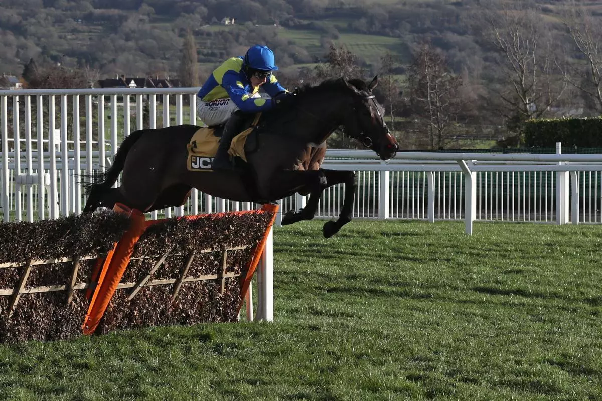 Langer Dan ridden by Harry Skelton