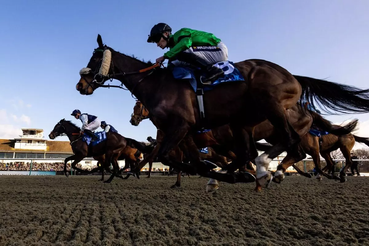 Lingfield racecourse