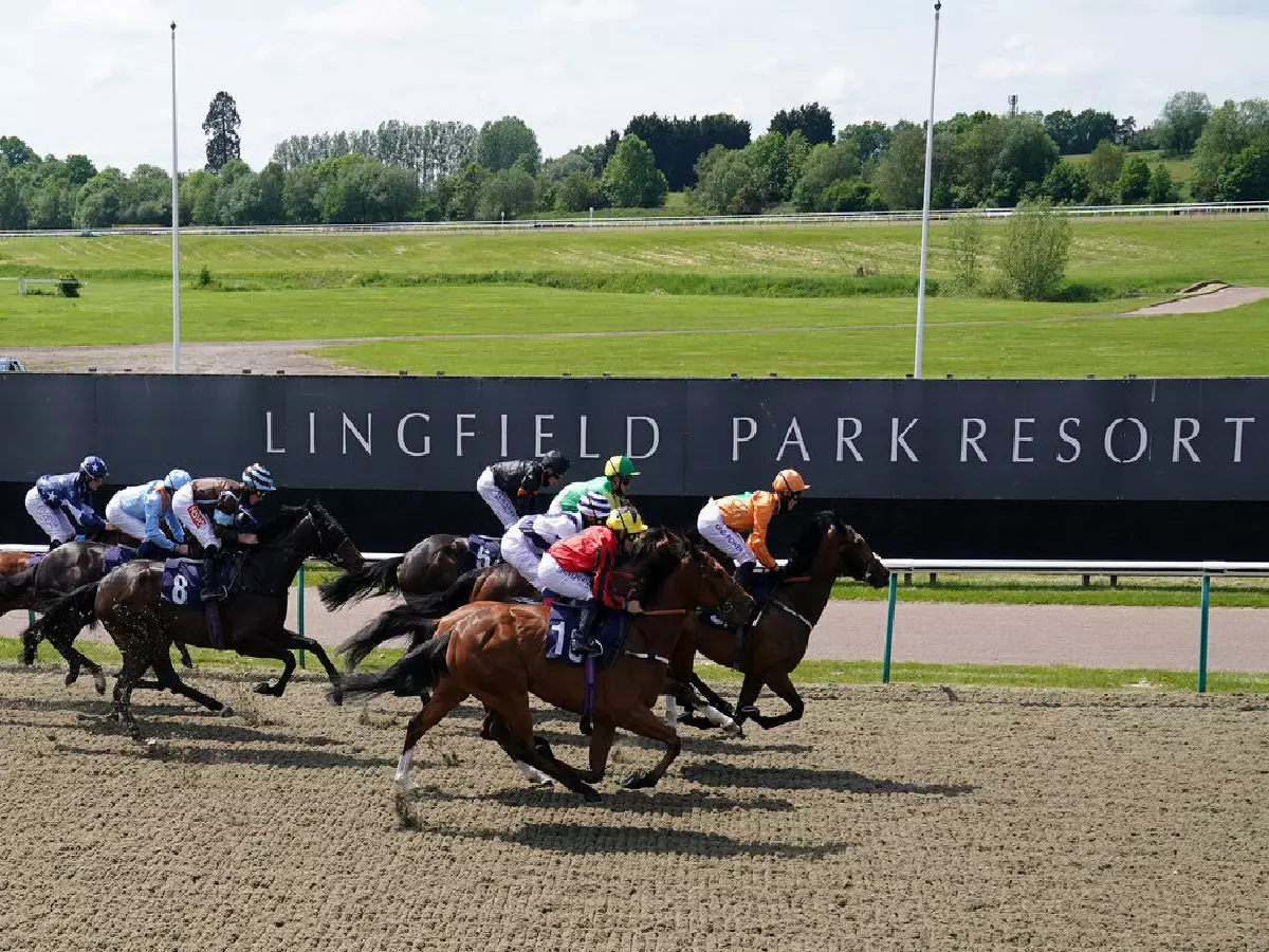 Lingfield Polytrack