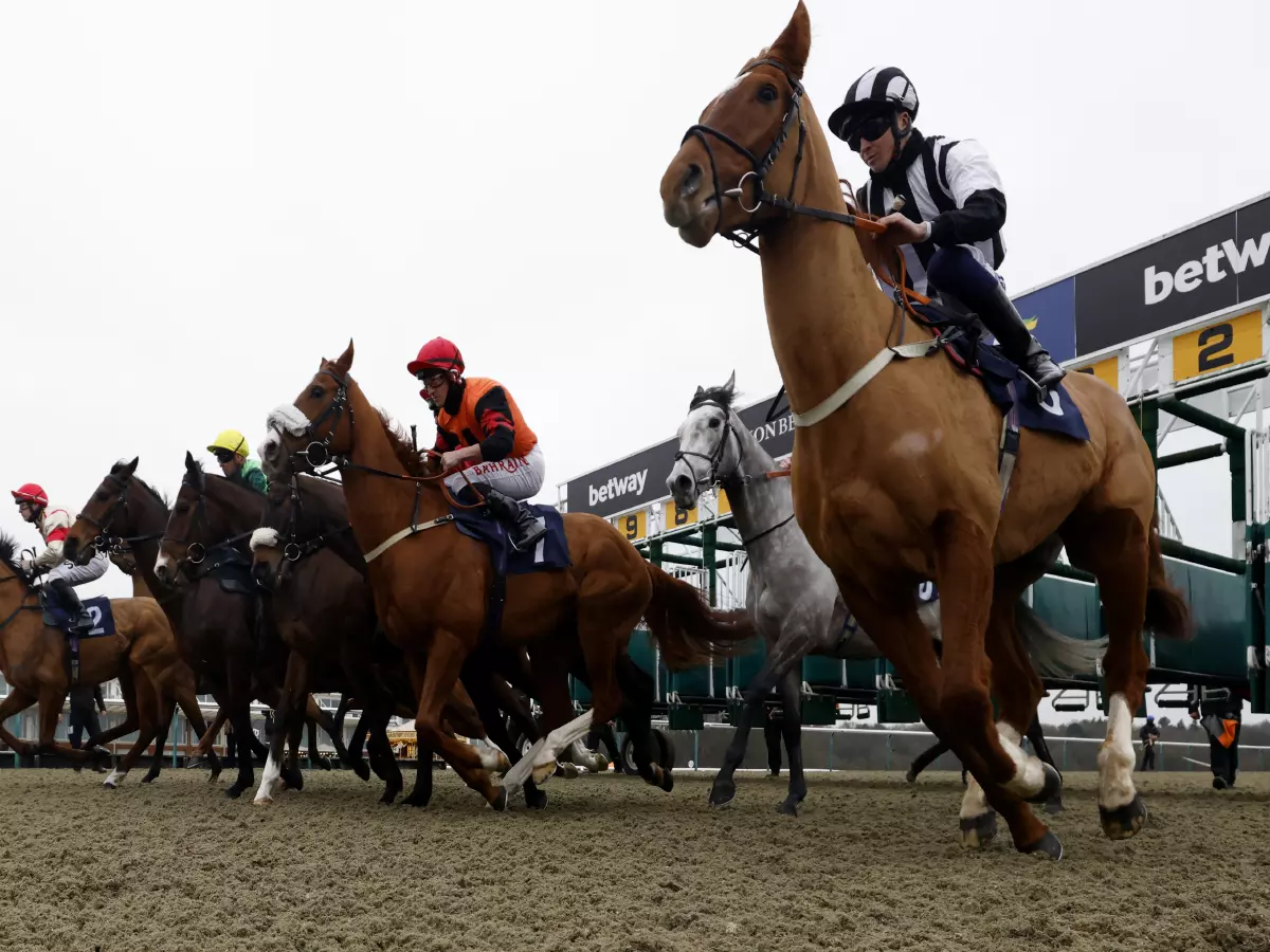 Runners and riders start the Read Katie Walsh On Betway Insider Handicap during day two of The Winter Million Festival at Lingfield Park Racecourse, Surrey. Picture date: Saturday January 22,