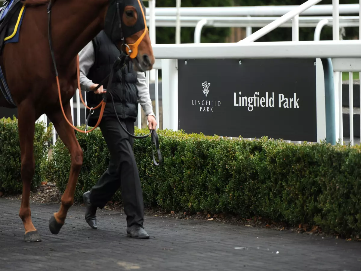 Lingfield