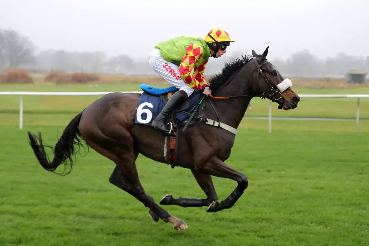 Lord Du Mesnil ridden by Alain Cawley at Weatherby
