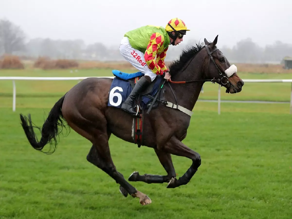 Lord Du Mesnil with Alain Cawley up