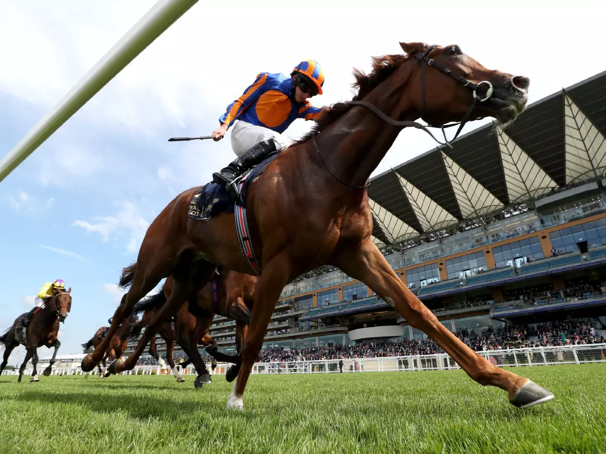 Love wins the Prince of Wales's Stakes at Royal Ascot-jun21