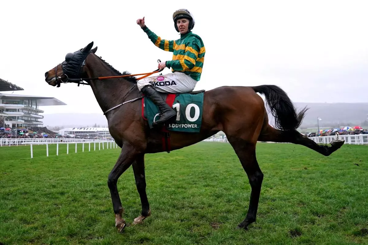 Jockey Mark Walsh celebrates on Sire Du Berlais after winning the Paddy Power Stayers' Hurdle