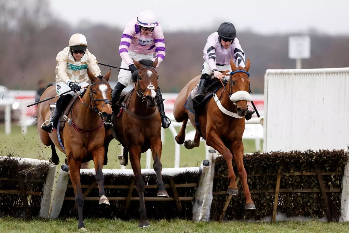 Maximilian ridden by Brian Hughes