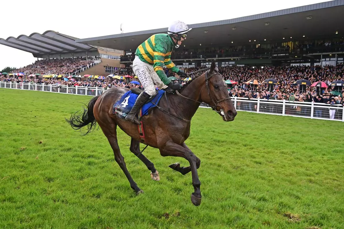 I Am Maximus ridden by Paul Townend