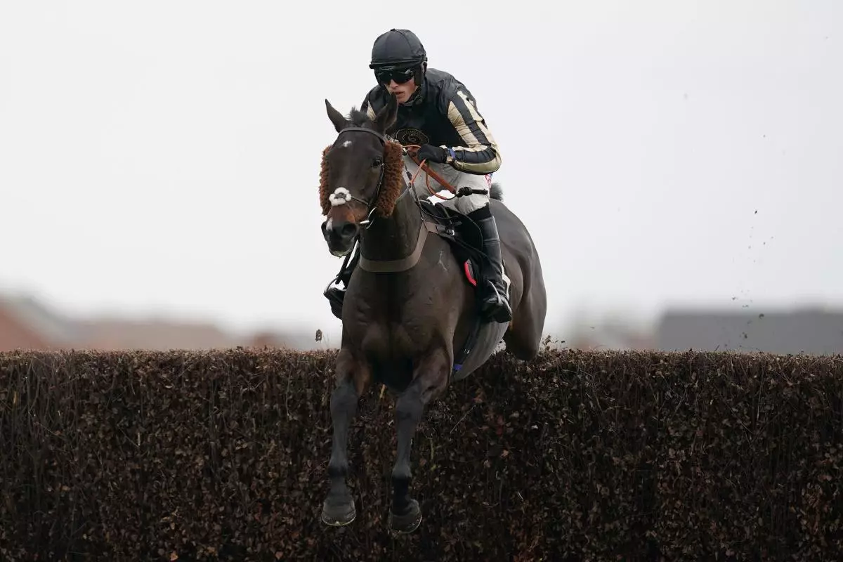 McFabulous and jockey Harry Cobden