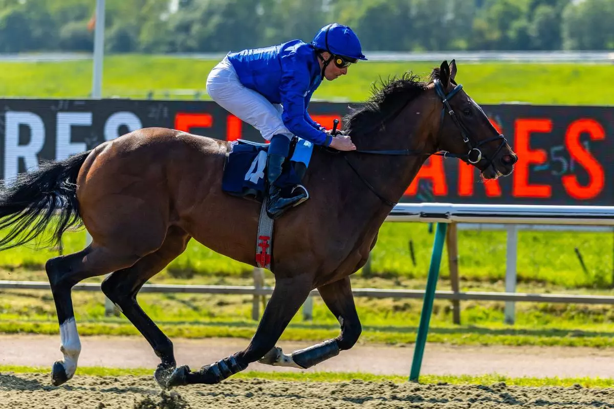Military Order ridden by jockey William Buick winning the Fitzdares Lingfield Derby Trial Stakes - May 2023