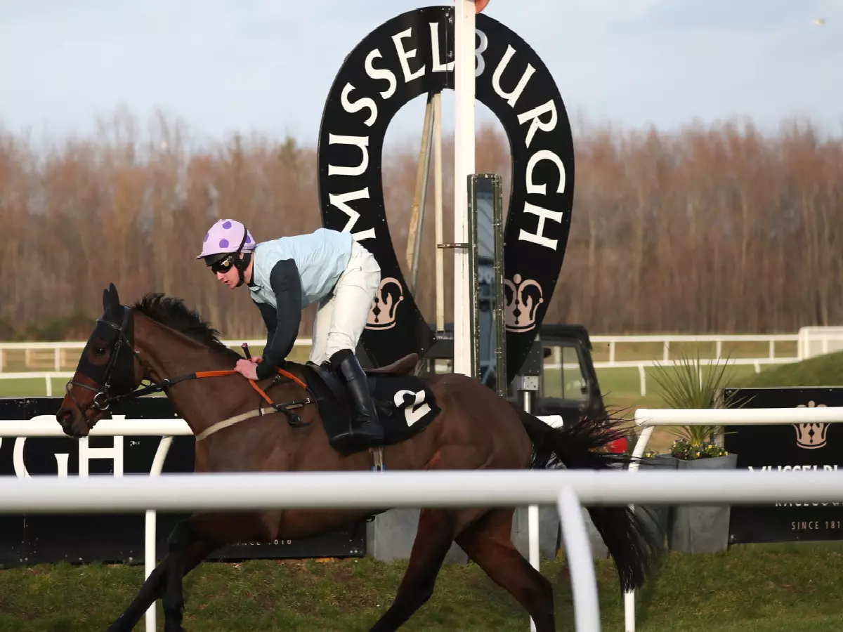 Field of Exhibition ridden by Danny McMenamin crosses the finish line at Musselburgh racecourse, February 13, 2019