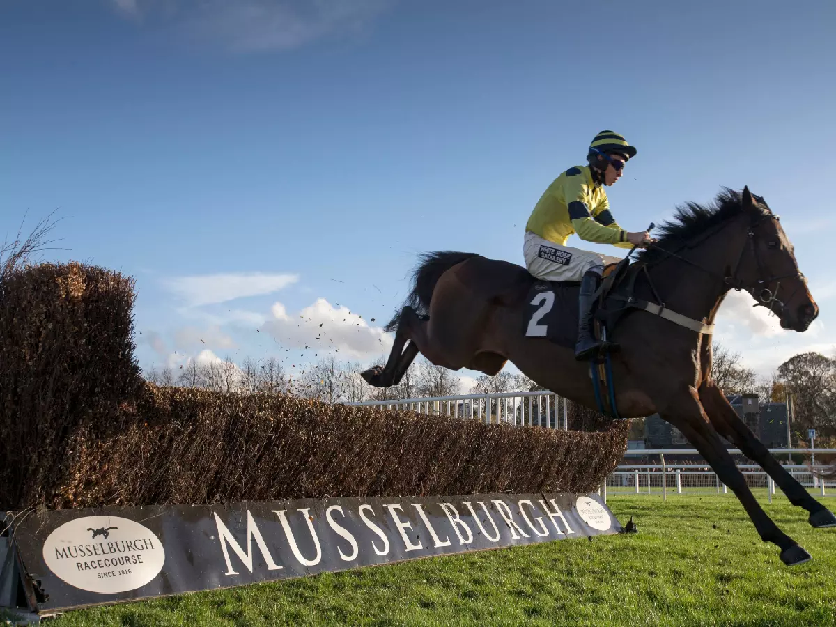 Waltz Darling jumping and clearing the final hurdle during a race at Musselburgh racecourse, November 7, 2014
