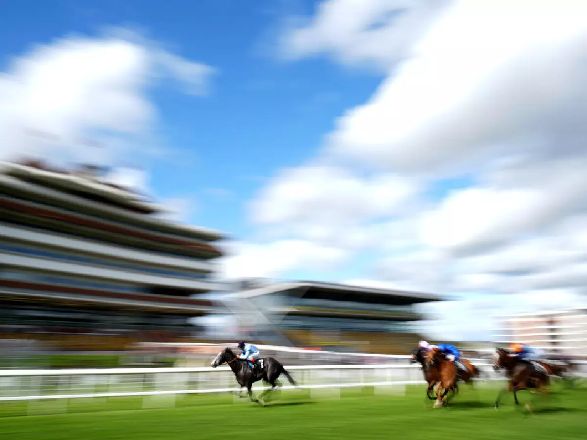 Newbury racecourse