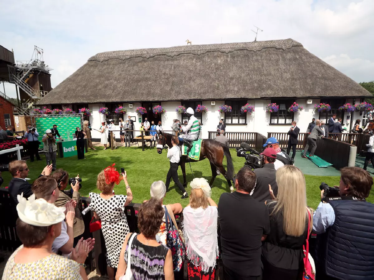 Newmarket July Course parade ring crowd