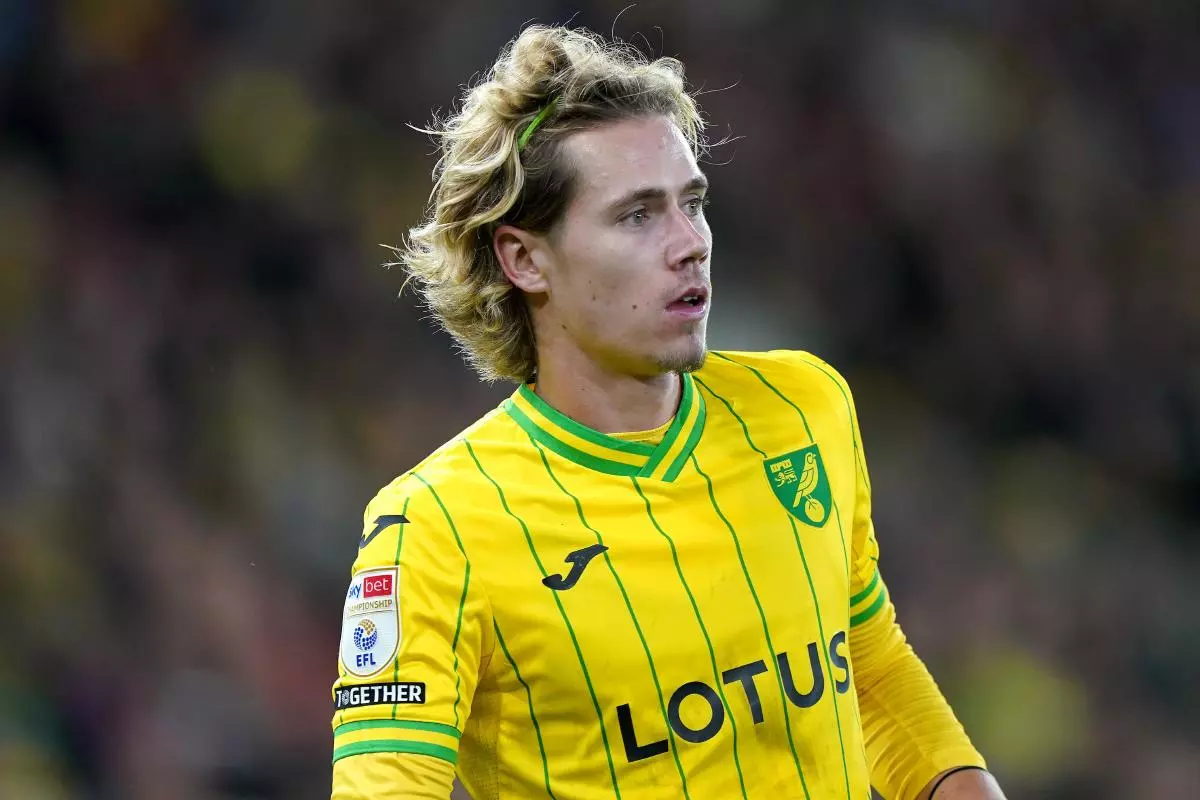 Norwich City's Todd Cantwell