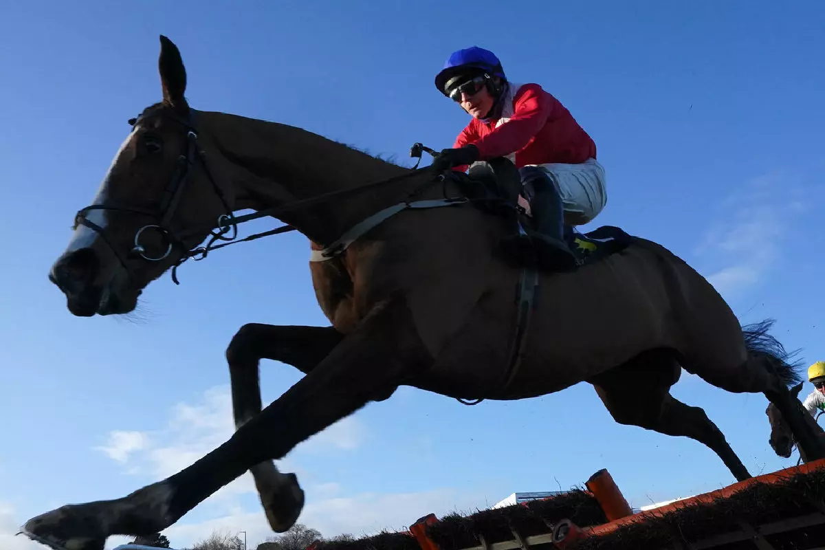 Paul Townend riding Sir Gerhard