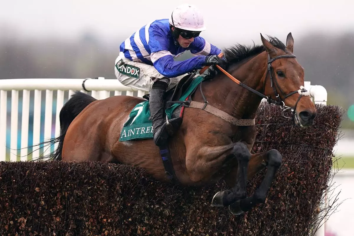 Pic D'Orhy ridden by jockey Harry Cobden