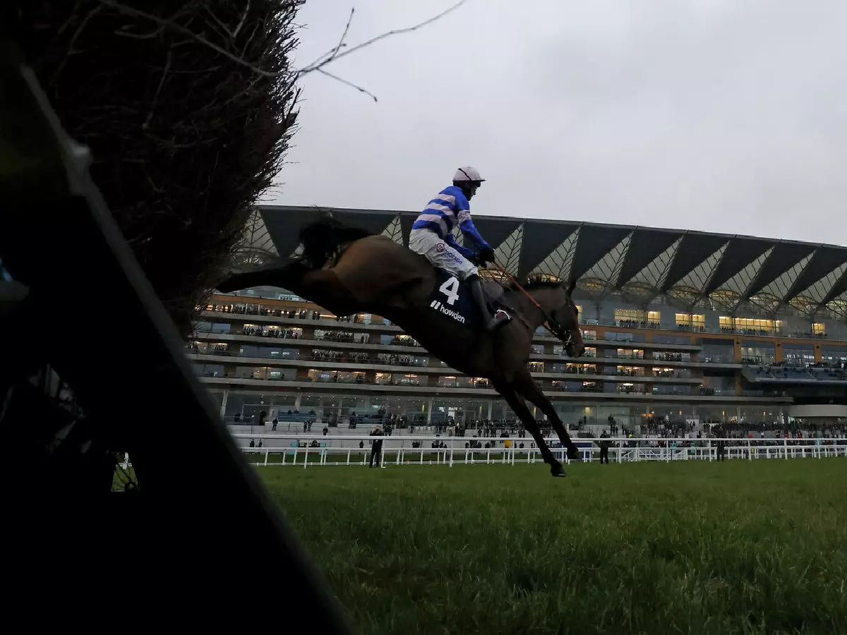 Pic D'Orhy and Harry Cobden win at Ascot