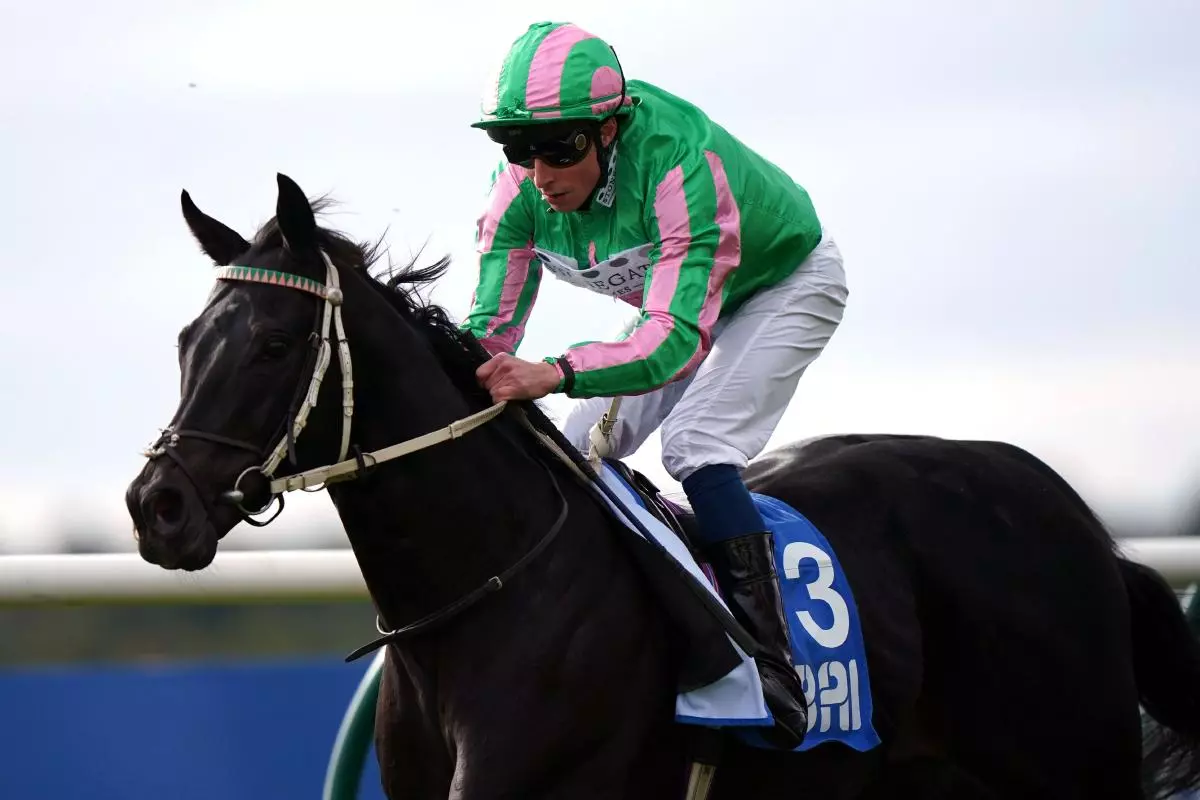 Pogo ridden by William Buick