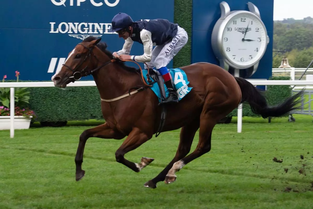 Rohaan ridden by jockey Adam Kirby