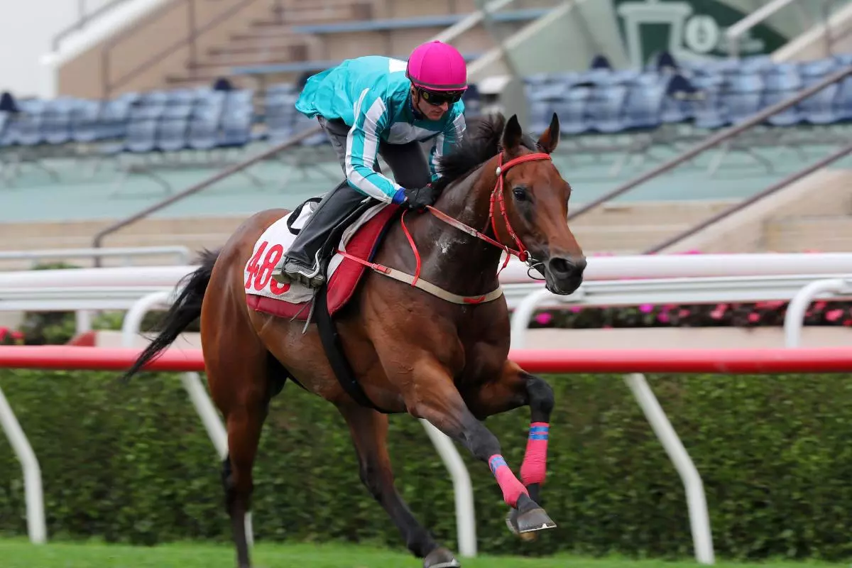 Romantic Warrior ridden by Zac Purton - April 2023