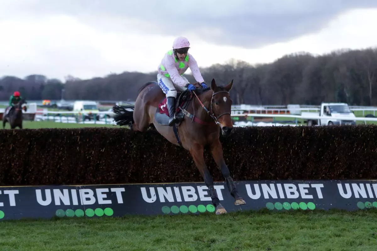 Royale Pagaille ridden by Tom Scudamore on their way to winning the Peter Marsh Handicap Chase at Haydock Park Racecourse