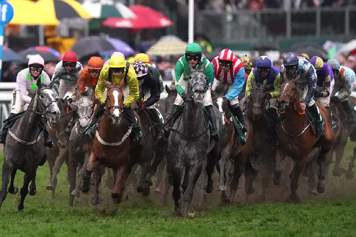 Runners and riders Weatherbys Champion Bumper