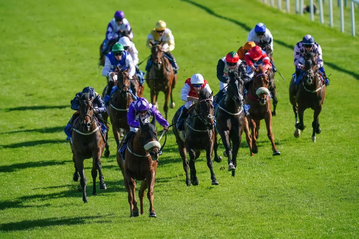Sacred Jewel ridden by Sean Levey on their way to victory in the Knighton Park Maiden Stakes at Leicester racecourse.