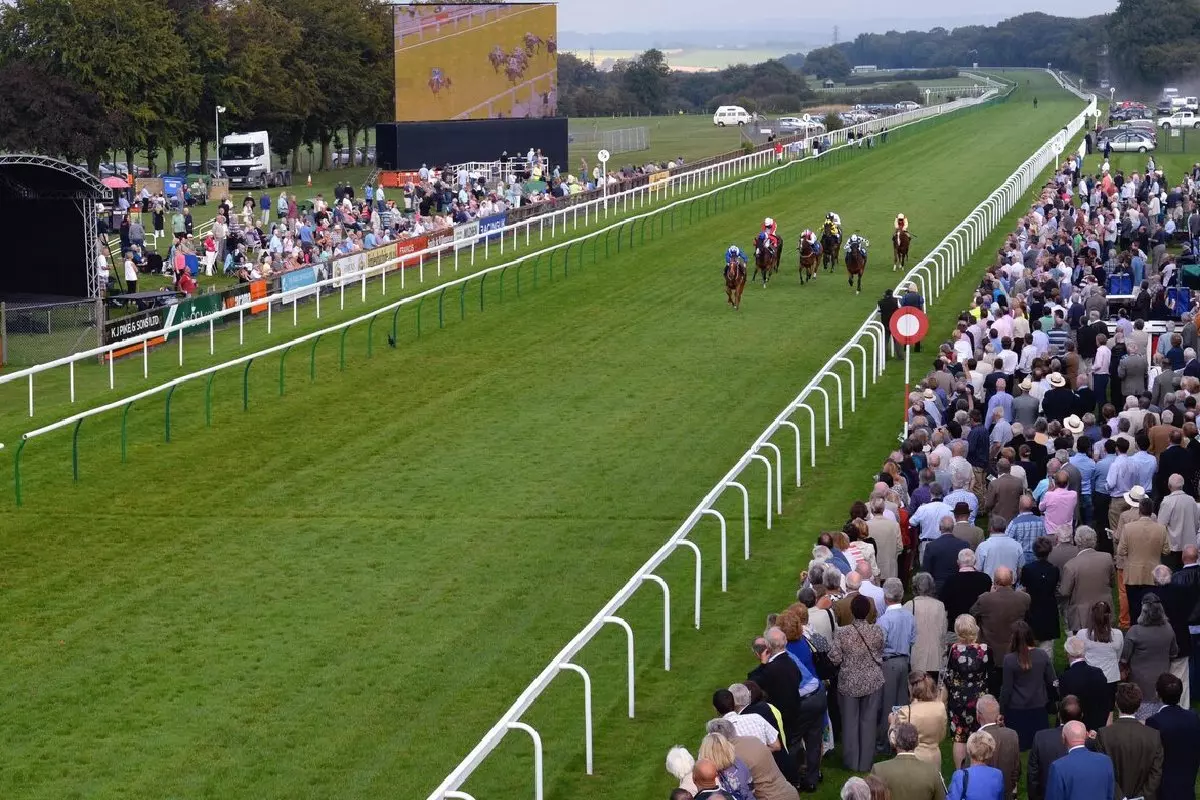 Salisbury racecourse