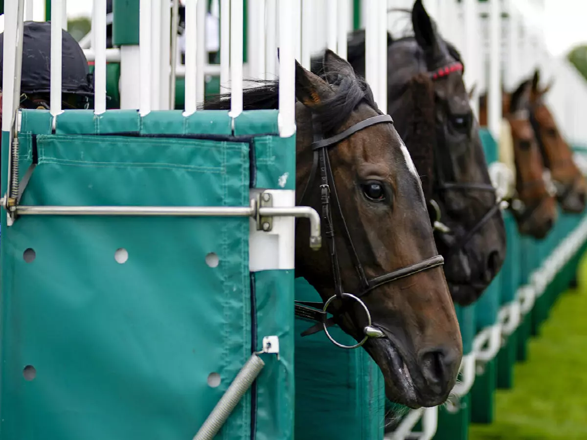 Sandown racecourse stalls