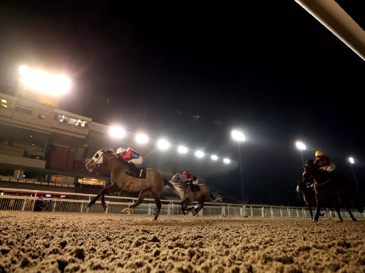 Scale Force ridden by George Rooke wins the Betway Selling Handicap at Wolverhampton Racecourse.