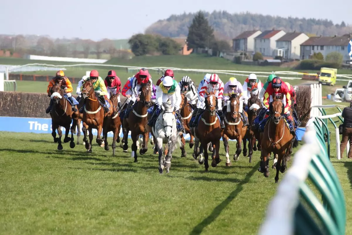 Scottish Grand National at Ayr