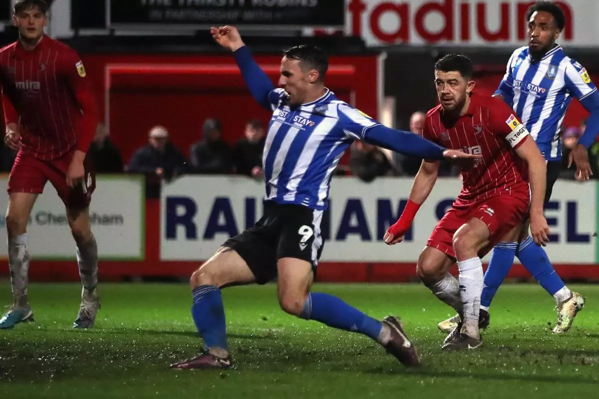 Sheffield Wednesday's Lee Gregory