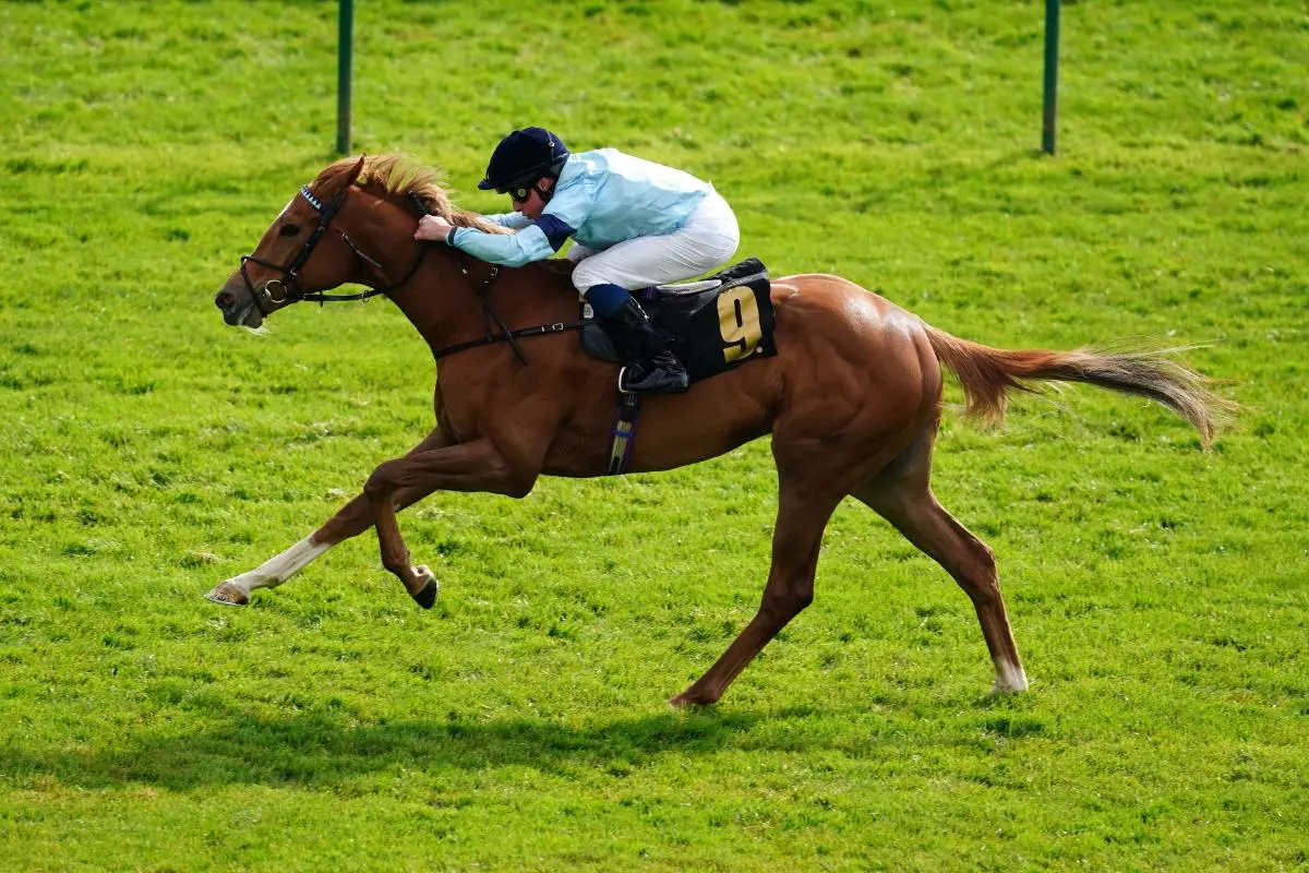 Soprano ridden by William Buick