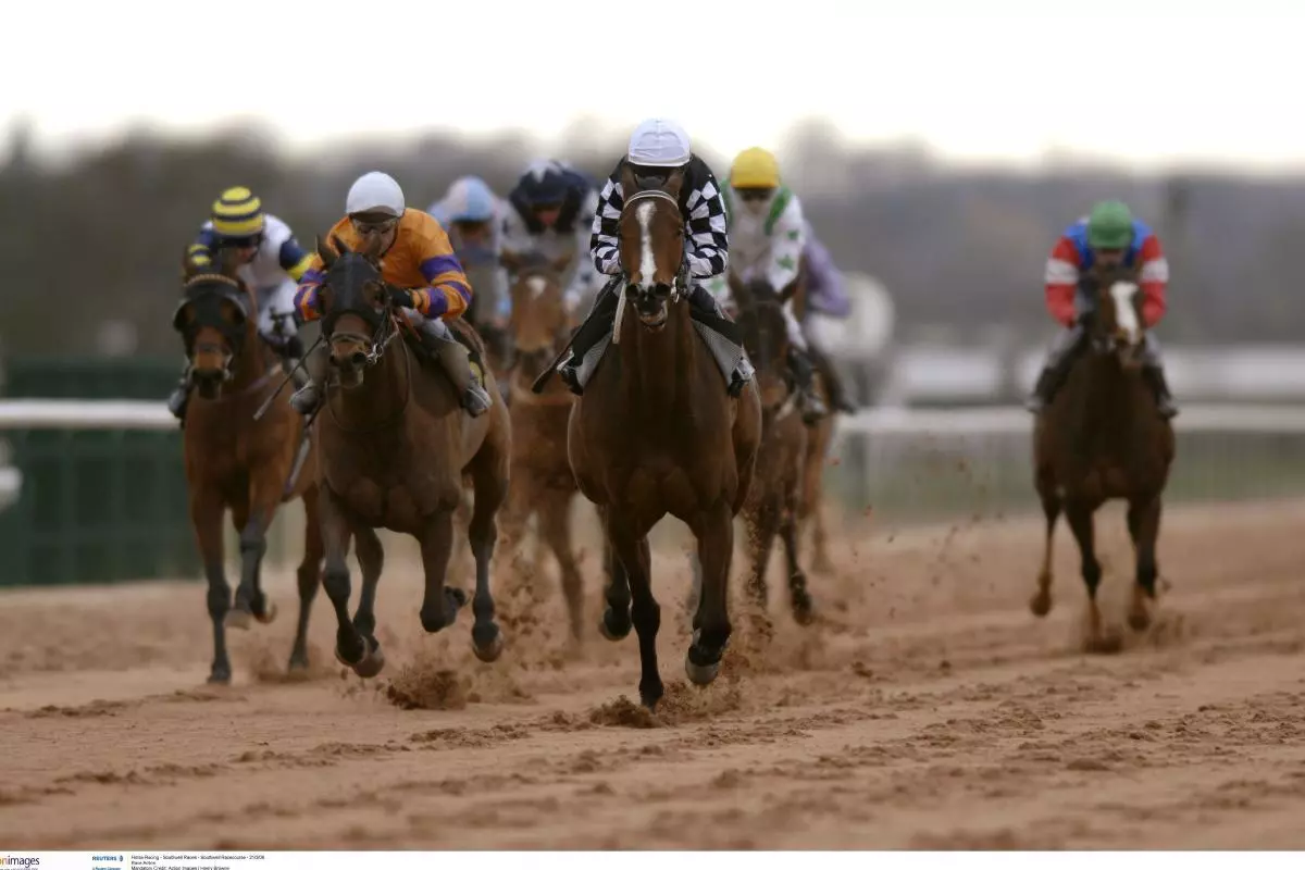 Southwell racecourse