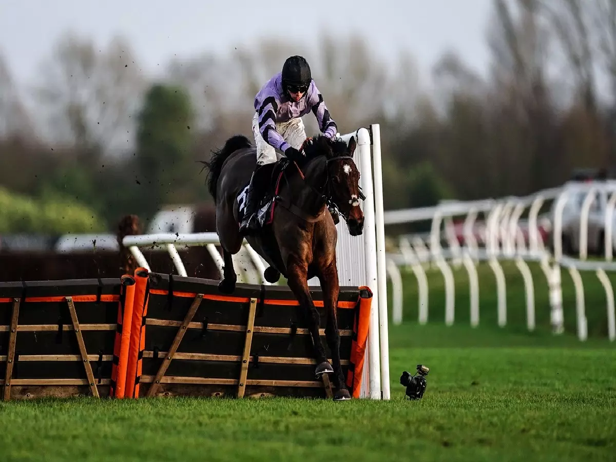 Stage Star and Harry Cobden winning the Challow Novices' Hurdle at Newbury