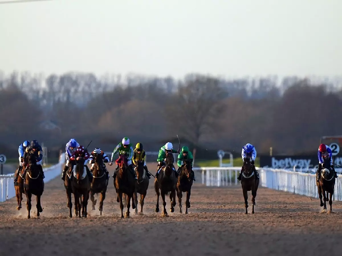 Tapeta action at Southwell