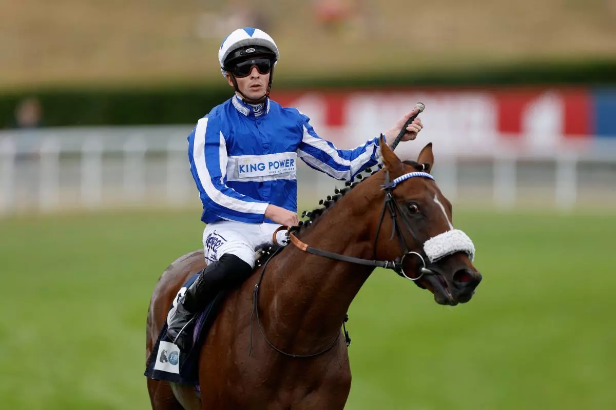 The Foxes ridden by David Probert after winning the British E.B.F. Ebf Maiden Stakes - July 2022