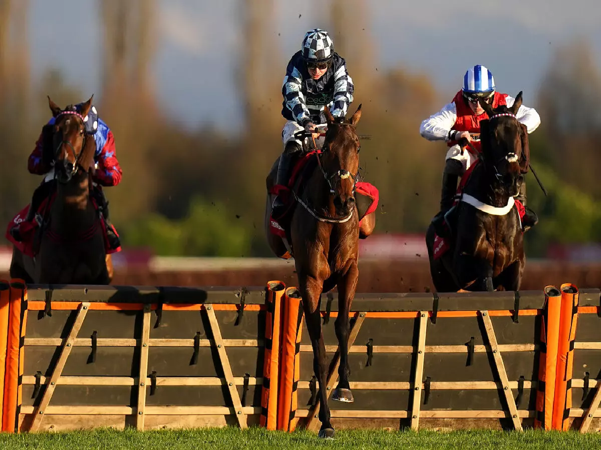 Thomas Darby wins long distance hurdle at Newbury
