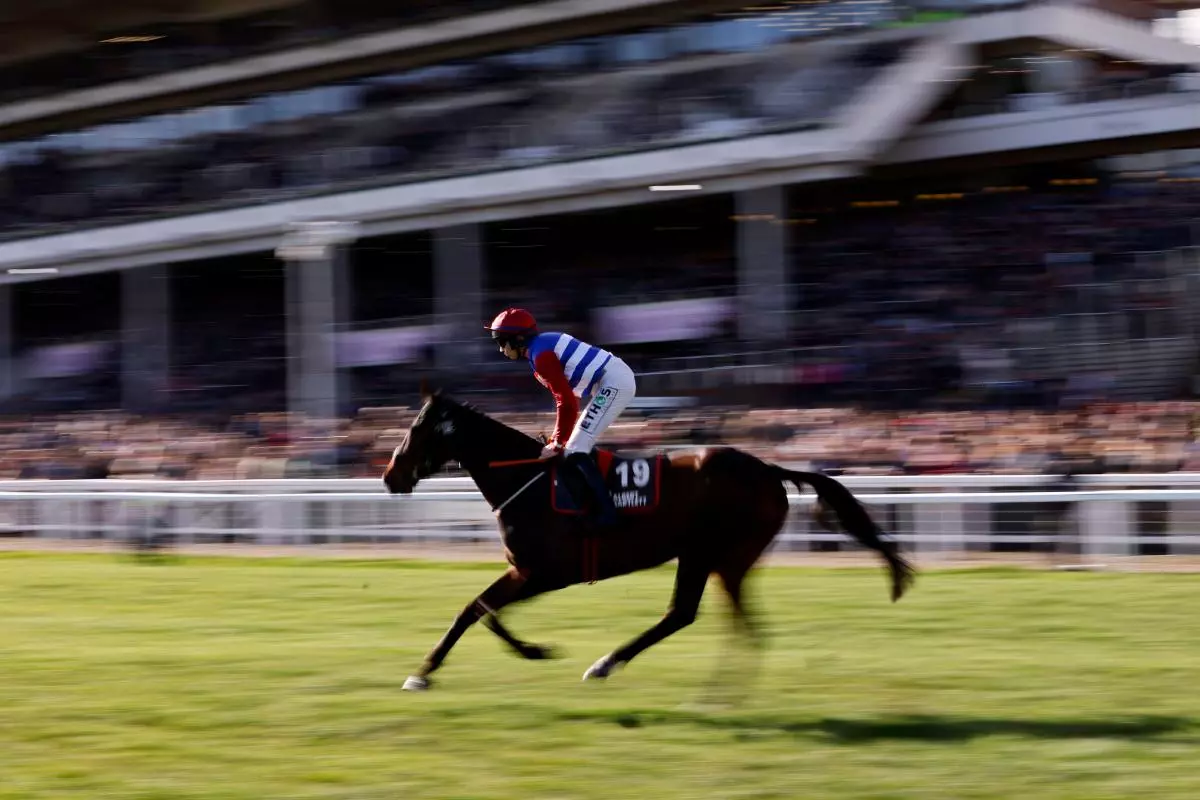 Three Card Brag ridden by jockey Adrian Heskin goes to post prior to competing in the Albert Bartlett Novices' Hurdle on day four of the Cheltenham Festival - March 2023