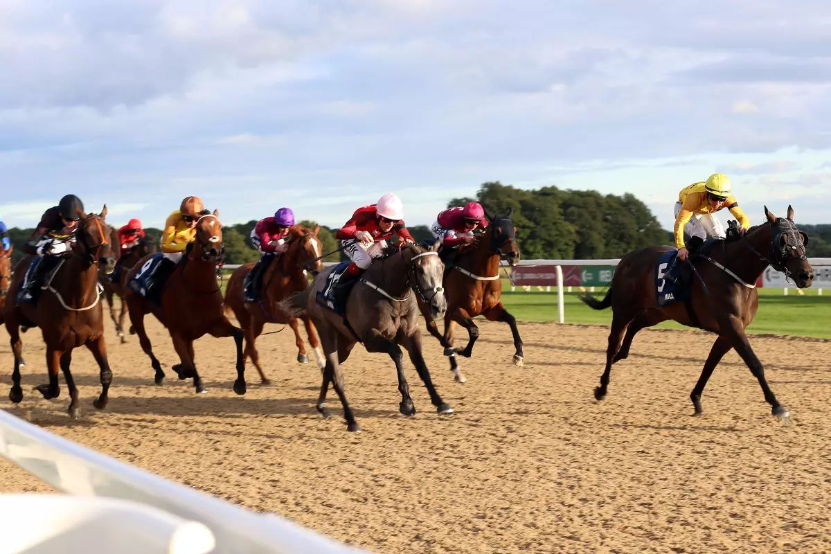 True Courage ridden by Ray Dawson in Racing League at Newcastle Racecourse