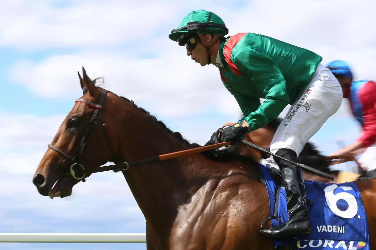 Vadeni ridden by Christophe Soumillon