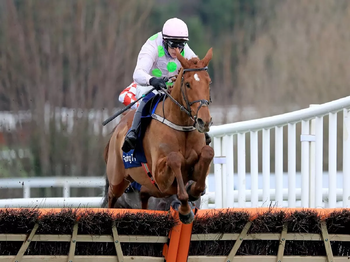 Vauban and Paul Townend on their way to winning the Spring Juvenile Hurdle