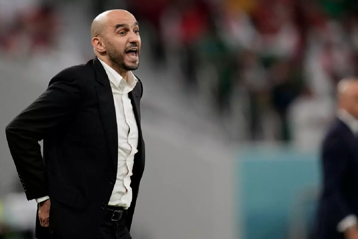 Walid Regragui touchline against Belgium World Cup November 2022