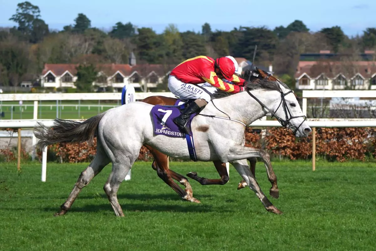 White Birch ridden by jockey Shane Foley wins the P.W.Mcgrath Memorial Ballysax Stakes - April 2023