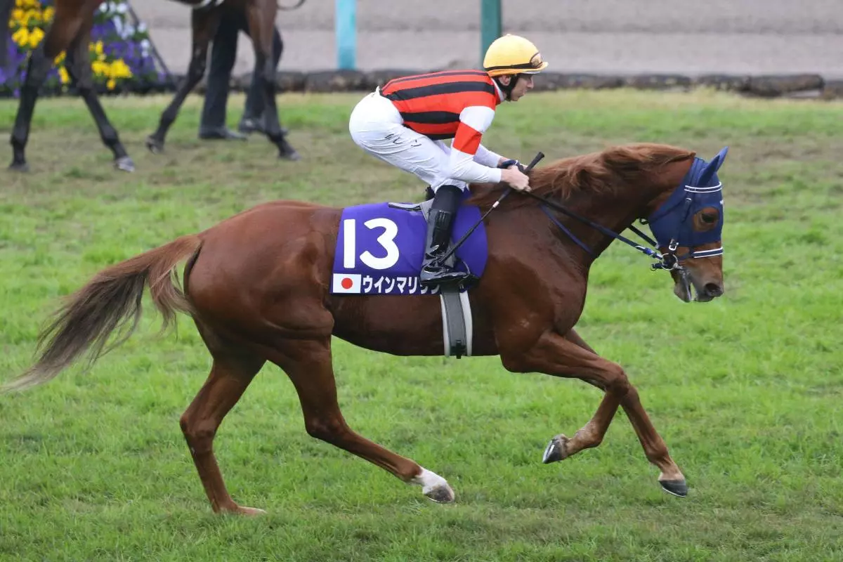 Win Marilyn and Damian Lane